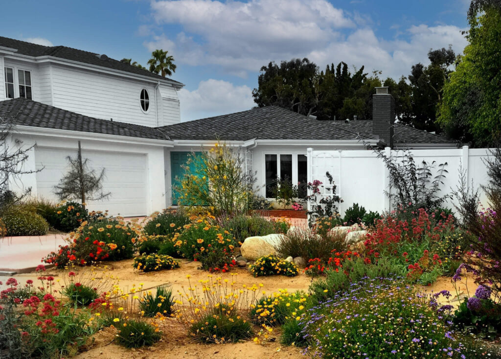 landscape construction in San Marino backyard with planting and hardscape design